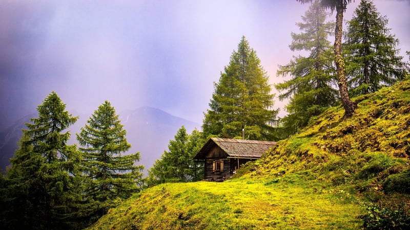 Cozy Cabin by the Lake